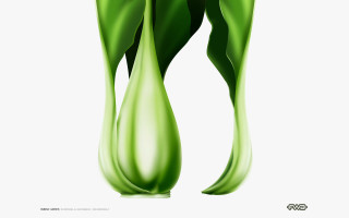Green vase flower white background 4 - inside free wallpaper for desktop