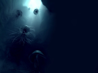 Jellyfish swimming dark ocean surface 3 - the waters surface free wallpaper