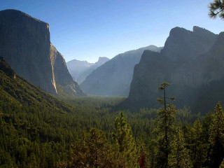 Valley mountains trees foreground scenic 2 - the background and trees free wallpaper