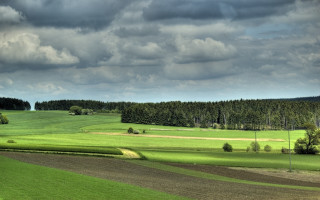 Field trees distance cloudy sky - free landscape wallpaper