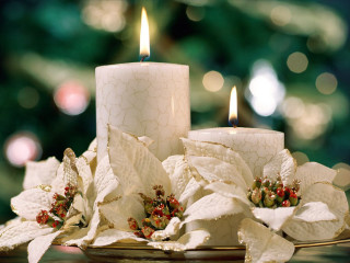 Candles table christmas tree poinsettias - a christmas tree free wallpaper for desktop