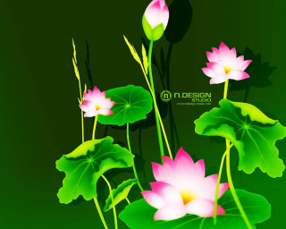 Green background pink flowers leaves - pink flower and leaves free wallpaper for desktop
