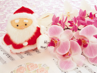 Stuffed santa flowers sheet music - ornamental free wallpaper