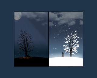 Tree person snow night man 3 - the snow free wallpaper for desktop
