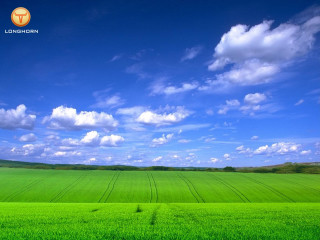 Green field blue sky clouds - a green field free wallpaper