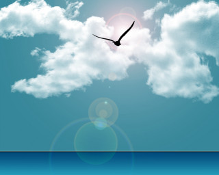 Bird flying sky ocean cloudy 2 - florianne becker free wallpaper for desktop