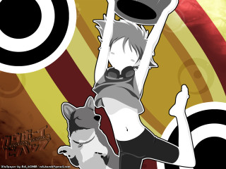 Woman cat hat dog holding - a woman holding free wallpaper