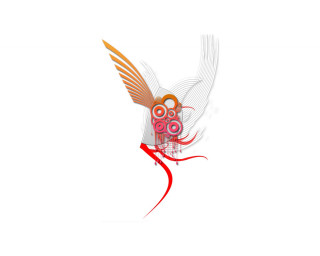 Bird red orange beak flying - beak free wallpaper for desktop