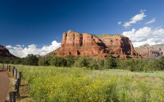 Scenic mountain trail flowers field - a trail free wallpaper