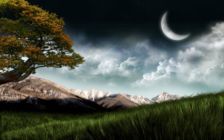 Tree moon sky grassy hill 2 - a grassy field below free wallpaper