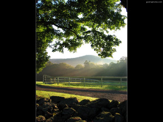 Horse field fence tree sunlight - radiant free wallpaper