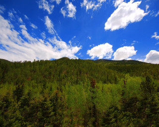 Forest mountain clouds sky nature - ada hill walker free wallpaper