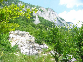 Mountain large rock trees bushes 2 - nature free wallpaper