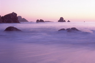 Beach rocks water sunset pink - soft focus free wallpaper