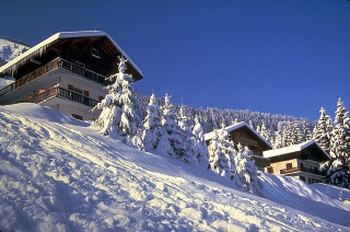 House snowy hill trees blue - danube school free wallpaper