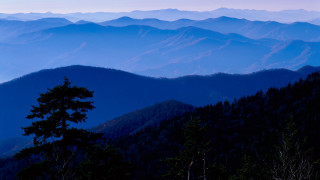 Mountain range tree blue sky 2 - a tree in the foreground free wallpaper