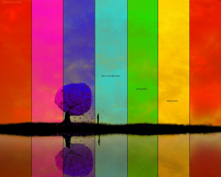 Rainbow colored wall tree reflection 3 - triadic free wallpaper