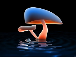 Blue orange mushroom floating water 3 - mushroom free wallpaper