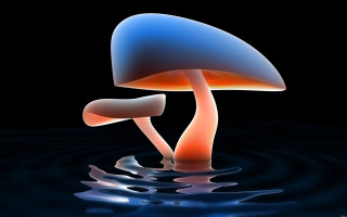 Blue orange mushroom floating water 6 - mushroom free wallpaper