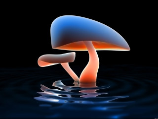 Blue orange mushroom floating water 9 - mushroom free wallpaper