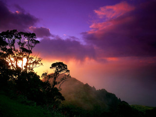 Sunset mountain trees purple sky 3 - a purple sky above free wallpaper for desktop