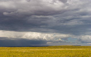Field animals cloudy sky trees 3 - a few cloud above free wallpaper for desktop