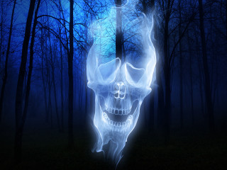 Glowing skull dark forest blue - skull free wallpaper