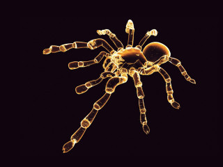 Taraploid long image png - alton tobey free wallpaper