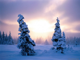Snowy winter forest sunset mountain - a few snow free wallpaper