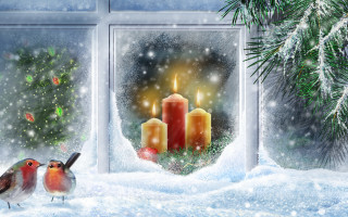 Birds window candles christmas tree 2 - two bird free wallpaper