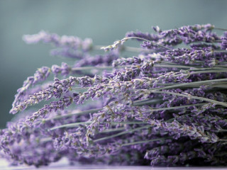 Lavender flowers table blurry background - didier mouron free wallpaper