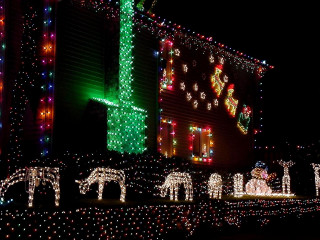 Christmas lights elephants house night - christmas free wallpaper