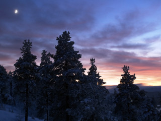 Sunset clouds trees foreground moon 2 - atmospheric free wallpaper