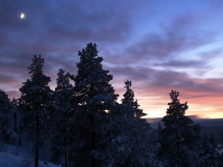 Sunset trees clouds moon distance - arkhip kuindzhi free wallpaper for desktop
