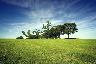 Field trees blue sky clouds 12 - two tree free wallpaper