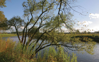 River trees grassy clouds ecological - rutkowski free wallpaper