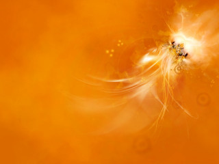 Yellow orange swirly design black - anne stokes free wallpaper