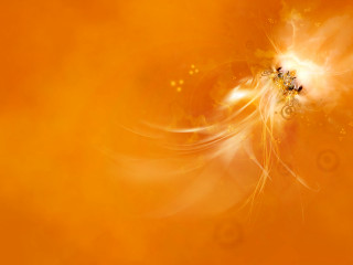 Yellow background swirly pattern black - anne stokes free wallpaper