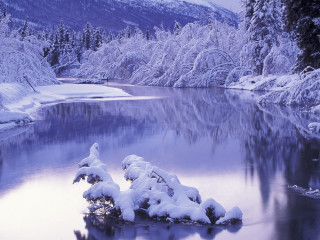 Lake snow trees mountain blue - covered free wallpaper