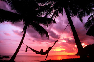Hammock palm trees beach sunset 5 - a pink sky in the background free wallpaper