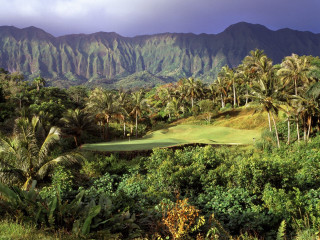Golf course palm trees mountains 3 - a golf course free wallpaper