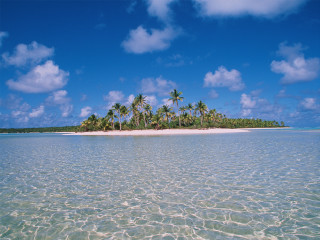 Small island palm trees ocean 19 - a small island free wallpaper