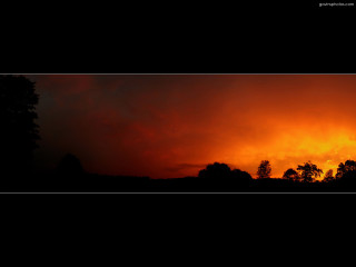 Sunset red sky trees black - a black sky free wallpaper for desktop