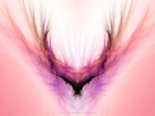 Pink purple abstract background black - a black bird free wallpaper