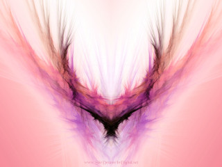 Pink purple abstract background bird - abstract background free wallpaper for desktop