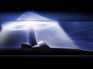 Mushroom lamp rock night sky - volumetric light free wallpaper