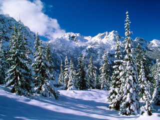 Snowy mountain trees clouds background - snow free wallpaper for desktop