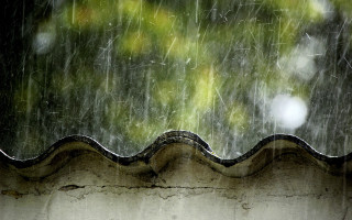 Rain storm roof tree raindrops 2 - an impressionist painting free wallpaper