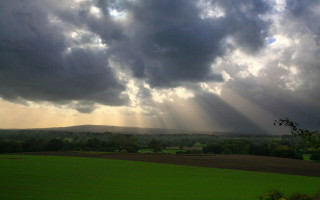 Field clouds sky trees foreground 3 - crepuscular ray free wallpaper