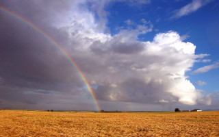 Rainbow wheat field barn blue 2 - de hirsh margule free wallpaper
